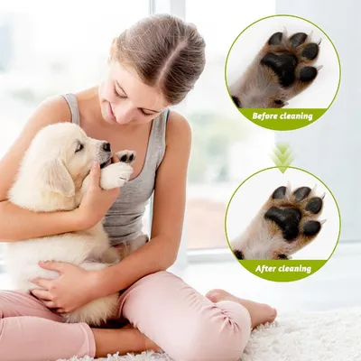 Petopia Nettoyeur de patte pour chien