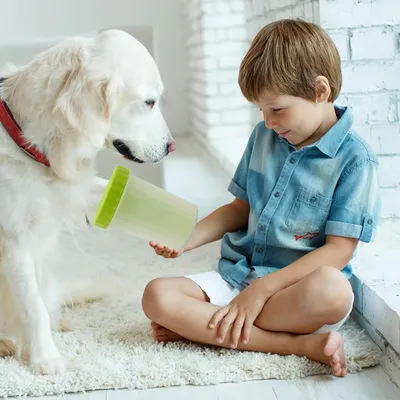 Petopia Nettoyeur de patte pour chien