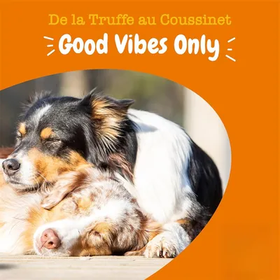 Pet Planet Complément calmant pour chien en friandise