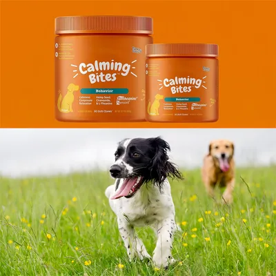 Pet Planet Complément calmant pour chien en friandise