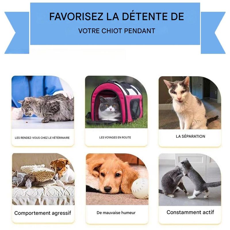 Pet Planet Comprimés calmants pour chien