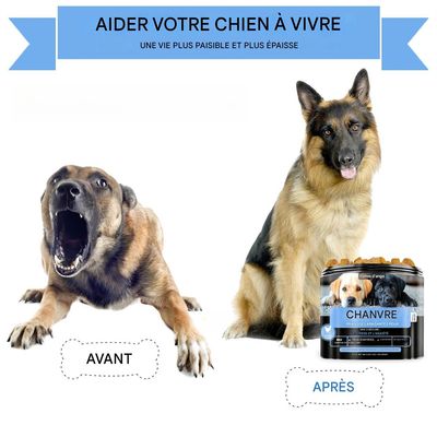 Pet Planet Comprimés calmants pour chien