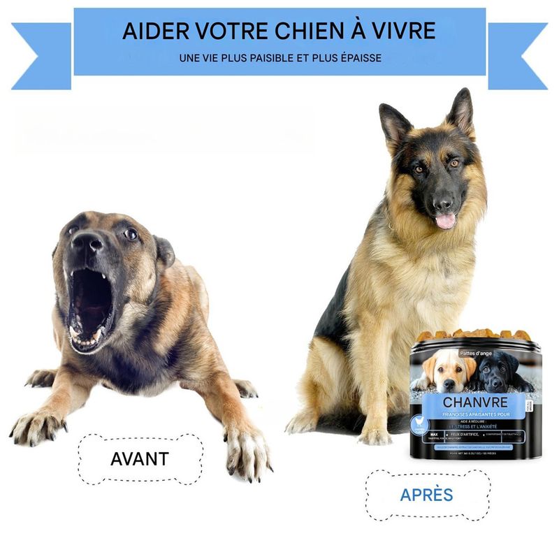 Pet Planet Comprimés calmants pour chien