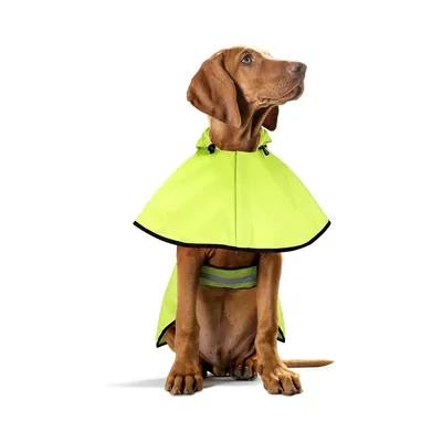 Petopia Imperméable pour chien