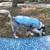 Pet Planet chaleco refrigerante para perros Pet Planet chaleco refrigerante para perros