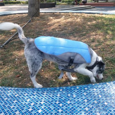 Pet Planet chaleco refrigerante para perros