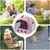 Pet Planet Petits Animaux Sac de Transport