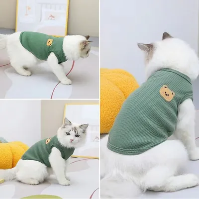 Petopia Chemise à imprimé chat Petopia Chemise à imprimé chat