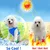 Petopia chaleco refrigerante para perros