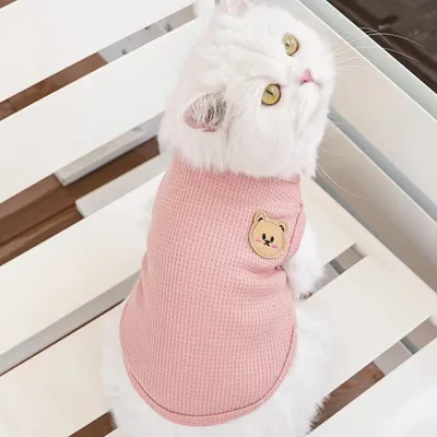 Petopia Chemise à imprimé chat Petopia Chemise à imprimé chat