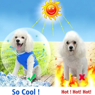 Petopia chaleco refrigerante para perros Petopia chaleco refrigerante para perros