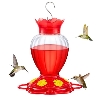 Petopia Abreuvoir pour colibris pour extérieur