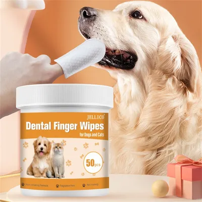 Pet Planet Doigtier de nettoyage buccal pour chats et chiens