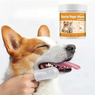 Pet Planet Doigtier de nettoyage buccal pour chats et chiens