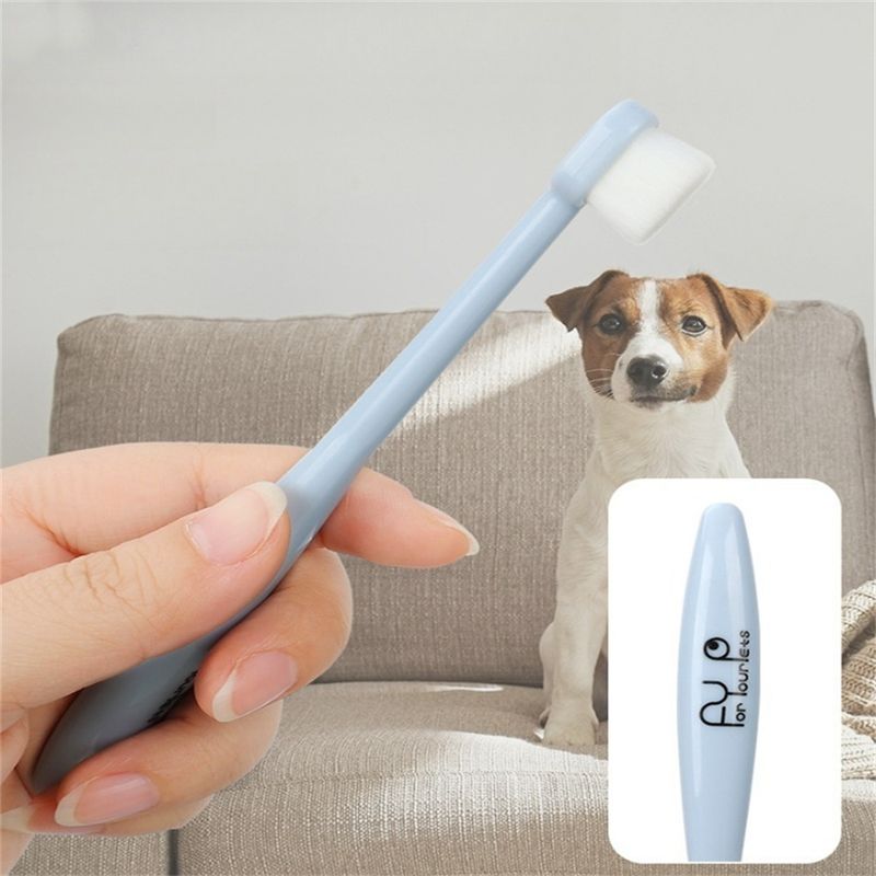 Pet Planet Kit de dentifrice et de brosse à dents pour chien et chat