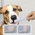 Pet Planet Kit de dentifrice et de brosse à dents pour chien et chat