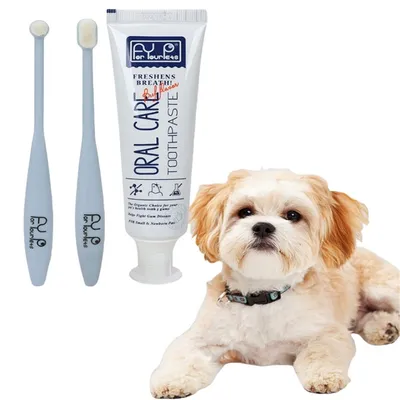 Pet Planet Kit de dentifrice et de brosse à dents pour chien et chat