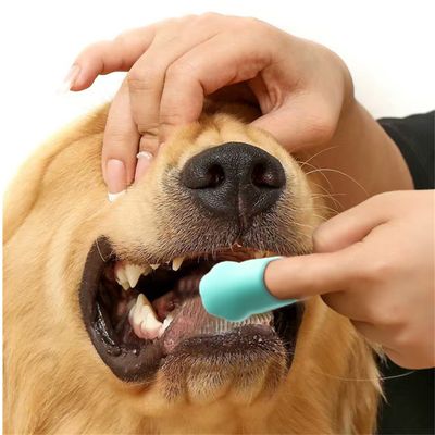 Pet Planet Stylo de nettoyage dentaire pour chien 2 articles