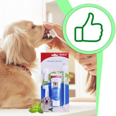 Pet Planet Kit de brossage des dents pour chien
