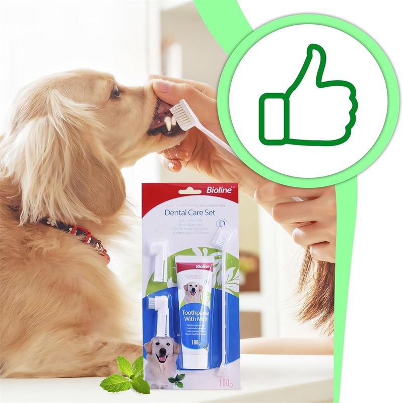 Pet Planet Kit de brossage des dents pour chien
