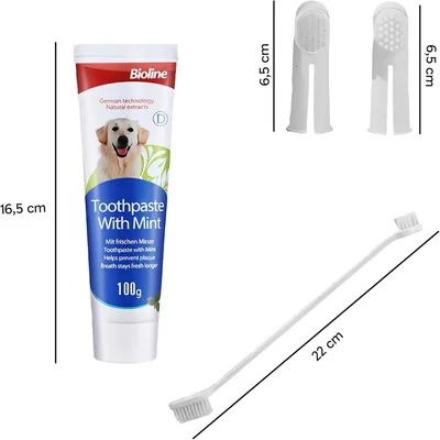 Pet Planet Kit de brossage des dents pour chien