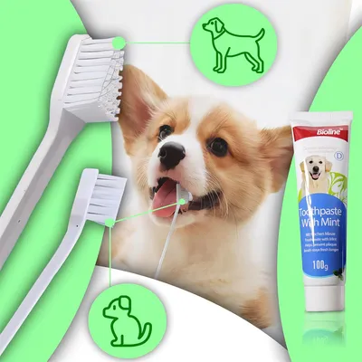 Pet Planet Kit de brossage des dents pour chien