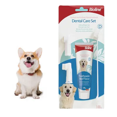 Pet Planet Kit de brossage des dents pour chien