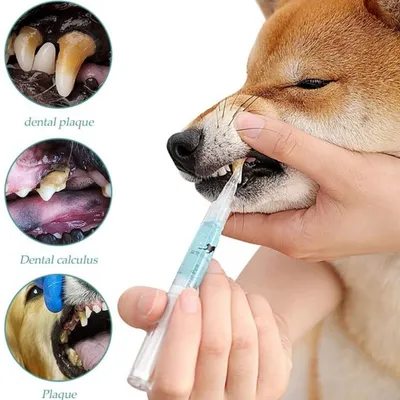 Petopia Stylo blanchissant pour les dents