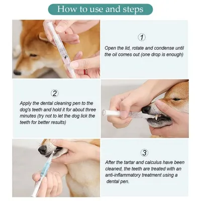 Petopia Stylo blanchissant pour les dents