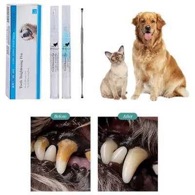 Petopia Stylo blanchissant pour les dents