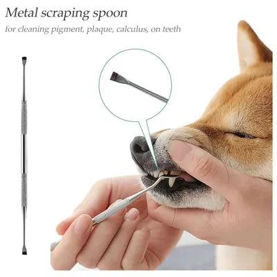 Petopia Stylo blanchissant pour les dents