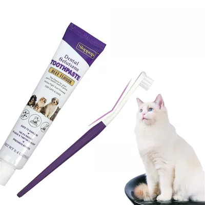 Pet Planet Kit de dentifrice et de brosse
