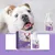 Pet Planet Spray de nettoyage buccal 50ml