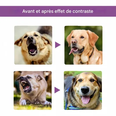 FurryFusion Spray apaisant pour animaux 50 ml