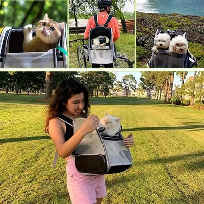 Pet Planet Chats et Chiens Sac de Transport