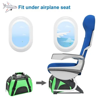 Petopia Transporteur de voyage pour animaux de compagnie