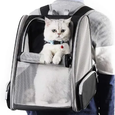 Pet Planet Chats et Chiens Sac de Transport