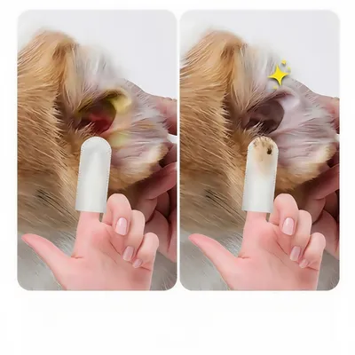 Petopia Lingettes nettoyantes pour les oreilles de chien