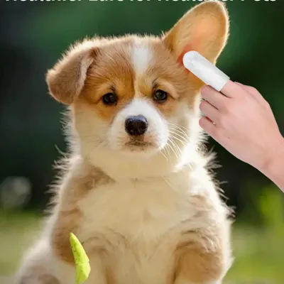 Petopia Lingettes nettoyantes pour les oreilles de chien