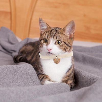 Pet Planet Collier en cuir doux pour chat