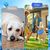 Pet Planet Bandana de refroidissement pour chien