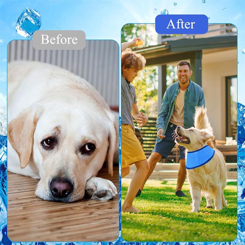 Pet Planet Bandana de refroidissement pour chien