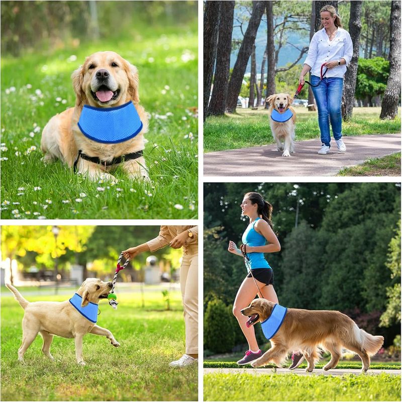 Pet Planet Bandana de refroidissement pour chien
