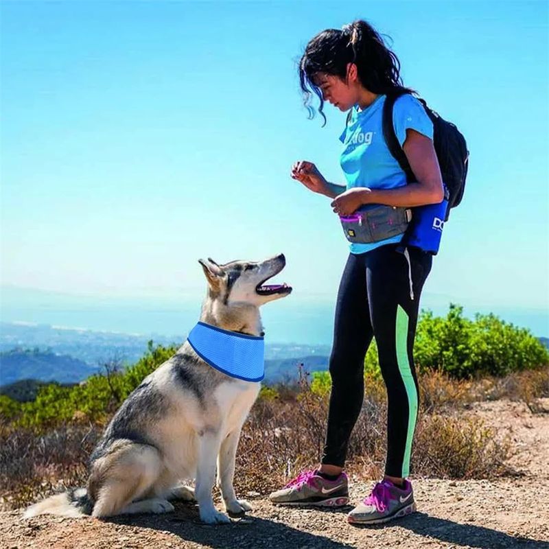 Pet Planet Bandana de refroidissement pour chien