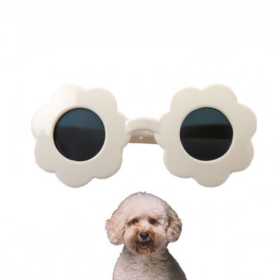 Petopia Lunettes de soleil pour petits chiens