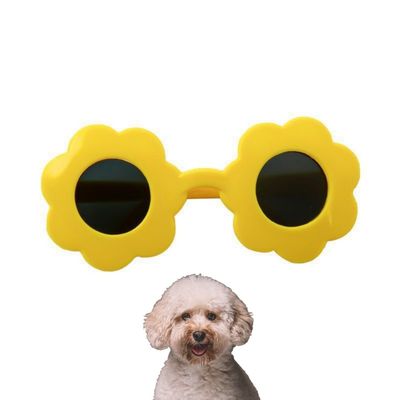 Petopia Lunettes de soleil pour petits chiens