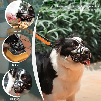 IntiMeg Muselière réglable pour chien