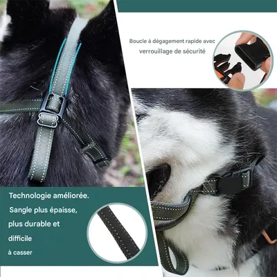 IntiMeg Muselière réglable pour chien