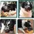 IntiMeg Verstellbarer Hundemaulkorb IntiMeg Verstellbarer Hundemaulkorb