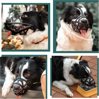 IntiMeg Muselière réglable pour chien